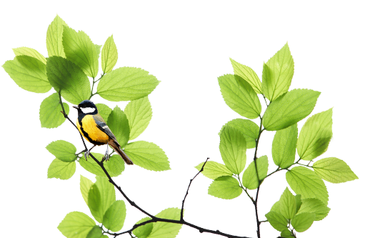 Единый онлайн-семинар 1С