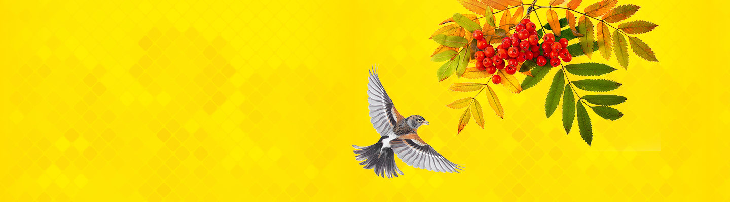 Единый семинар 1С 8 октября 2025 Единый семинар 1С 8 октября 2025