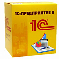 1C: Предприятие 8  Доп. лицензии	